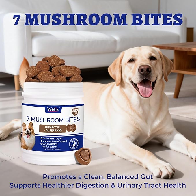 260 Bites Turkey Tail Mushroom for Dogs - Immune, Gut, Skin, Joint Health Mushroom Supplement for Dogs - Turkey Tail for Dog Chews with All Breeds & Sizes - Chicken Flavor Dog Supplements