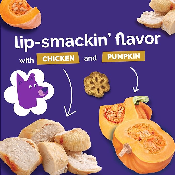 Fruitables Skinny Minis Dog Treats, Healthy Pumpkin Treat for Dogs, Low Calorie & Delicious, Puppy Training, No Wheat, Corn or Soy, Made in the USA, Rotisserie Chicken Flavor, 5oz