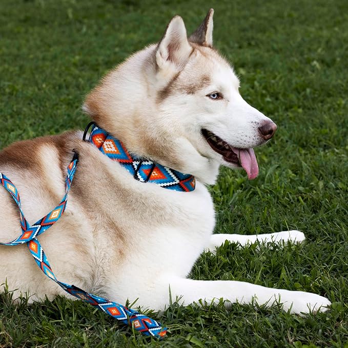 CollarDirect Aztec Martingale Collars for Dogs Heavy Duty Tribal Pattern Safety Nylon Training Collar Large Medium Small (Blue Geometric, L, Neck Size 15"-20")