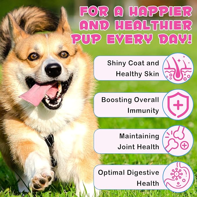 Collagen for Dogs, Dog Collagen Liquid Drops with Biotin, MSM & Ginger Digestive & Immunity Support, Itch Relief, Skin & Coat and Joint Health, Dog Supplement 60ml-2pcs
