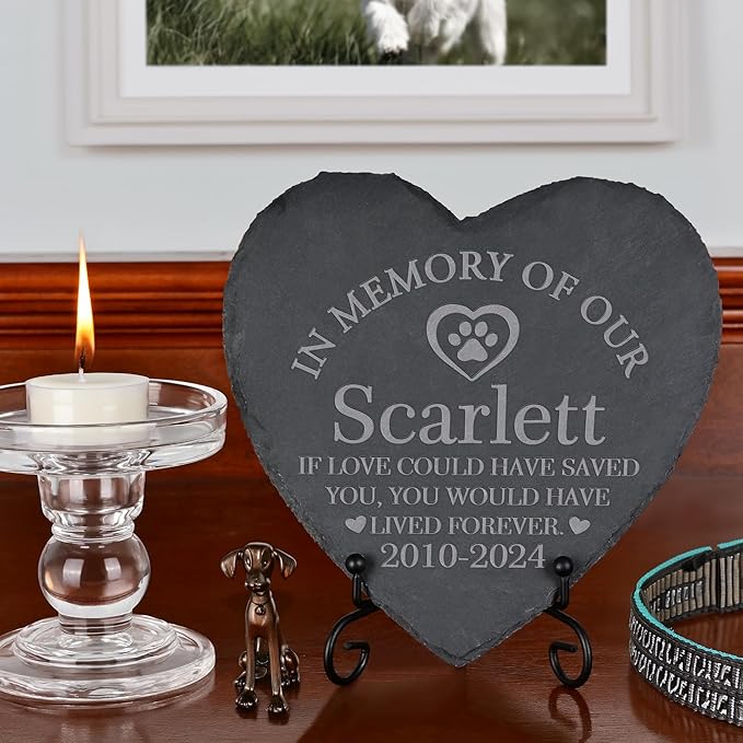 Pet Memorial Gifts, Pet Memorial Stone, Dog Memorial Stone, Dog Memorial Gifts for Loss of Dog, Cat Memorial Gifts, Pet Loss Gifts, Loss of Dog Sympathy Gift, in Memory of Pet - Lived Forever