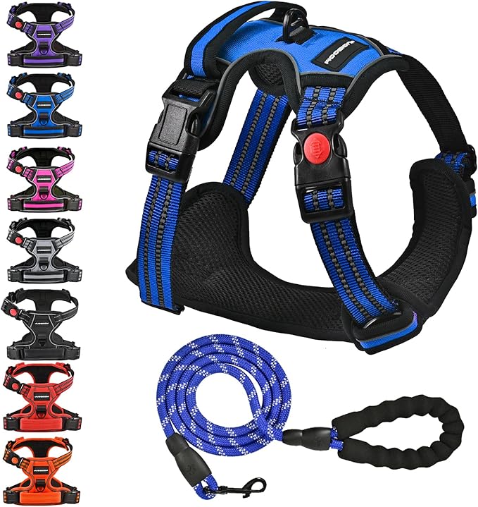 No Pull Dog Harness with A Free Heavy Duty 5ft Dog Leash, Adjustable Soft Padded Dog Vest, Reflective No-Choke Pet Oxford Vest with Easy Control Handle for Small and Large Dogs (Blue, Medium)