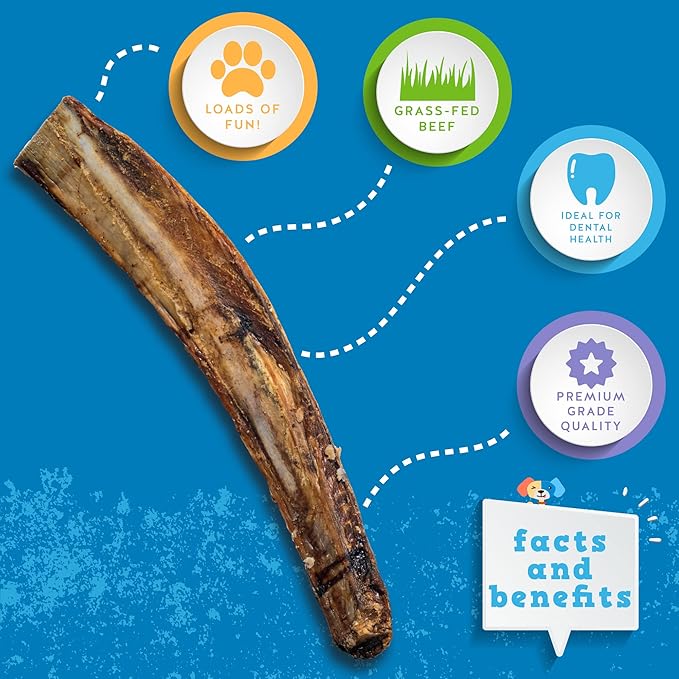 Jack&Pup 12" Rib Bones for Dogs (6 Pack), All Natural Dog Beef Bones, Single Ingredient Bone Marrow, Real Bone for Dogs
