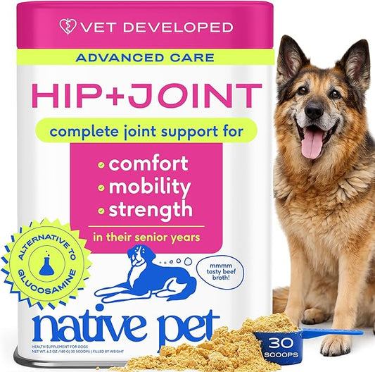 Native Pet Hip & Joint Advanced Care Dog Joint Supplement Powder for Mobility & Movement Support, Joint Supplement for Dogs with HMB, UC-II Collagen, Green Lipped Mussel & Hyaluronic Acid – 30 Scoops