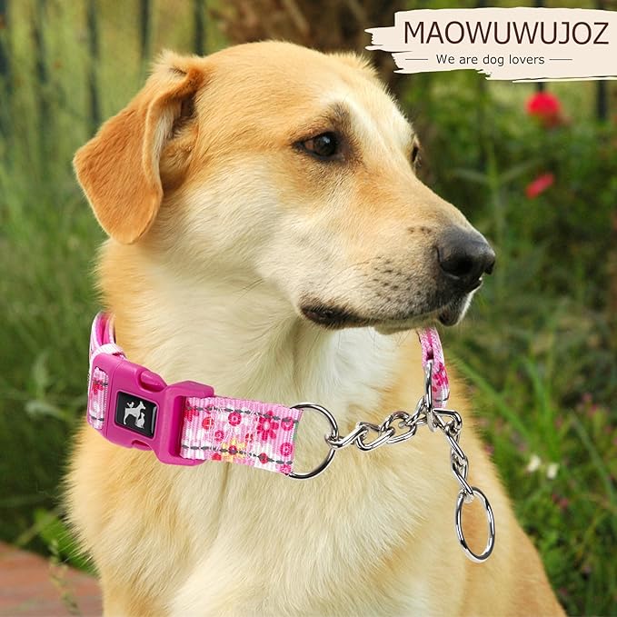 Martingale Dog Collar - Gentle Correction with No More Pulling - Strong 100% Stainless Steel Chain Softer, Padded Edges Nylon Stainless Chain Dog Collar -XL