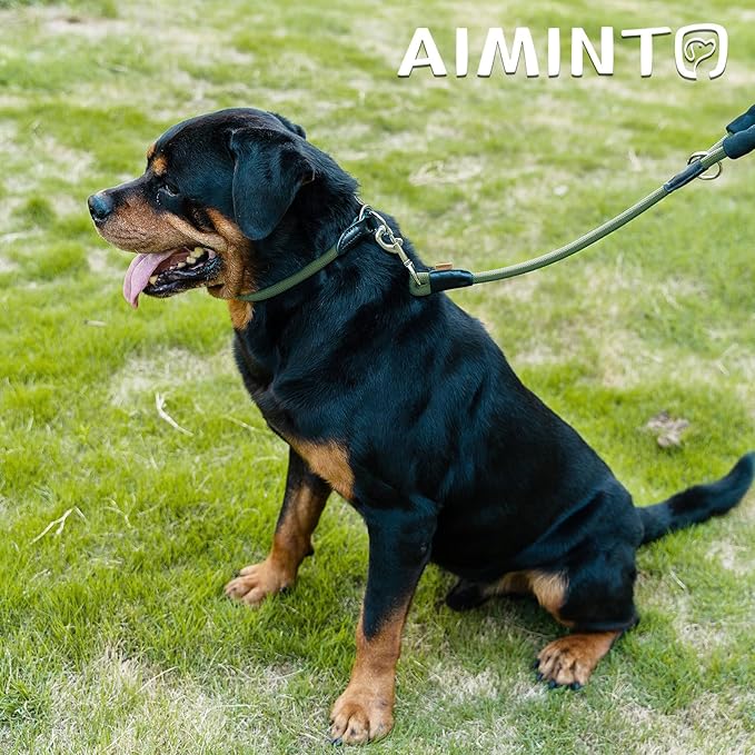 Dog Leash, Braided Rope Traction – Walking Training Lead for Medium/Large Dogs ((1/2") x 2FT, Dark Green)
