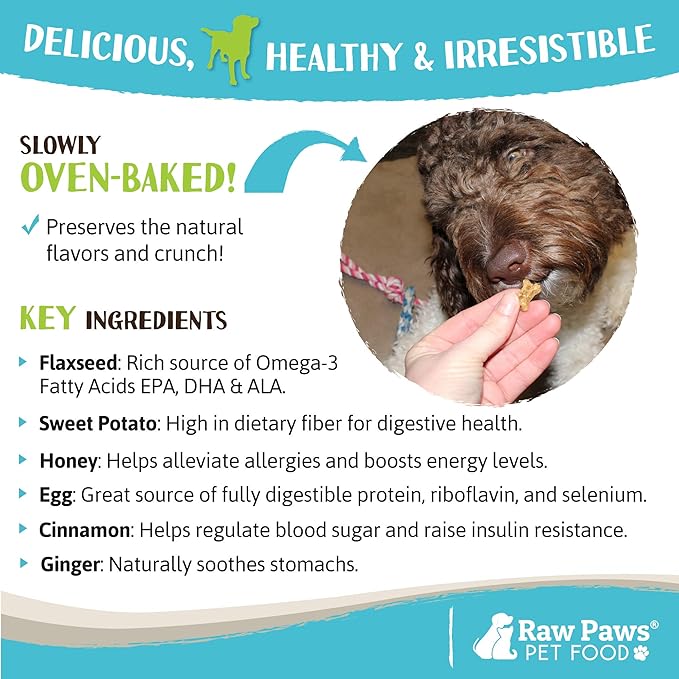 Raw Paws Mini Bones for Dogs - Sweet Potato & Honey Recipe, 10-oz - Made in USA Dog Biscuits, Small Training Treats for Dogs - Wheat, Corn, Soy Free Crunchy Dog Treats