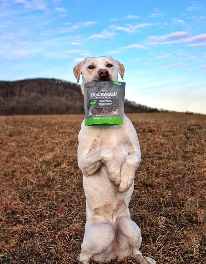 Blackwood Oven Baked Dog Treats, Duck with Apple, 8 Ounce Pouch, Training Treats for All Life Stages and Breed Sizes