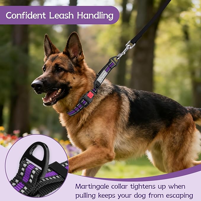 Martingale Collar for Dogs Reflective Collar with Quick Release Buckle, Adjustable Nylon Collars for No Slip Dog Collar, Purple, M