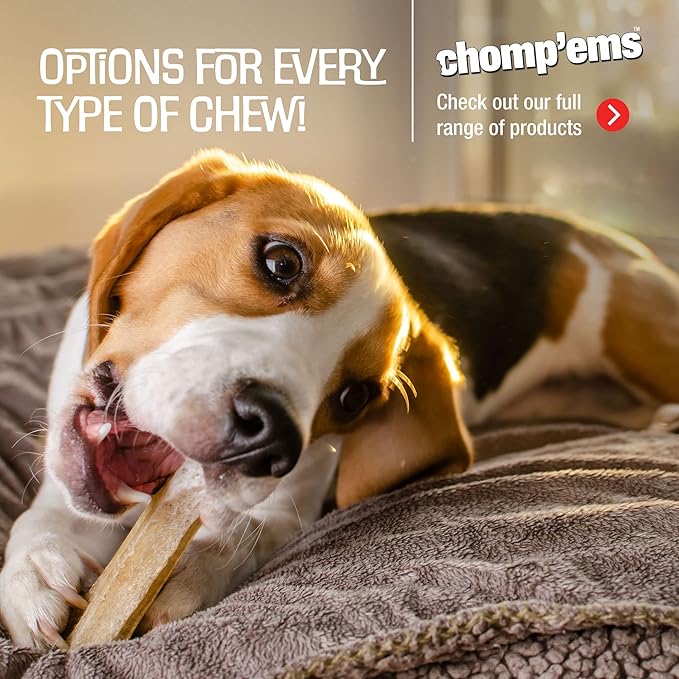 CHOMP 'EMS Purehide Beefhide Dog Chews, Bacon Flavor, 12 Oz - 100% Digestible Long Lasting Dental Treat