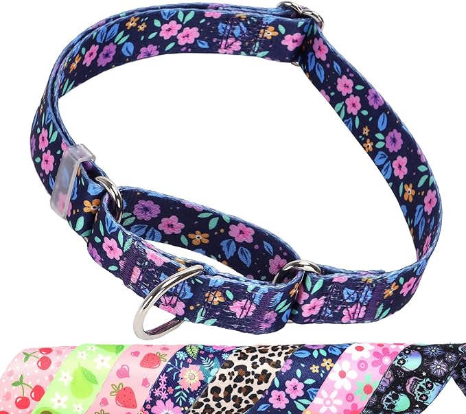 Martingale Dog Collar for Small Medium Large Breed Pet Dogs- Heavy-Duty Training Collar No Buckle - Soft Webbing Dog Collar for Male and Female Purple Flowers S
