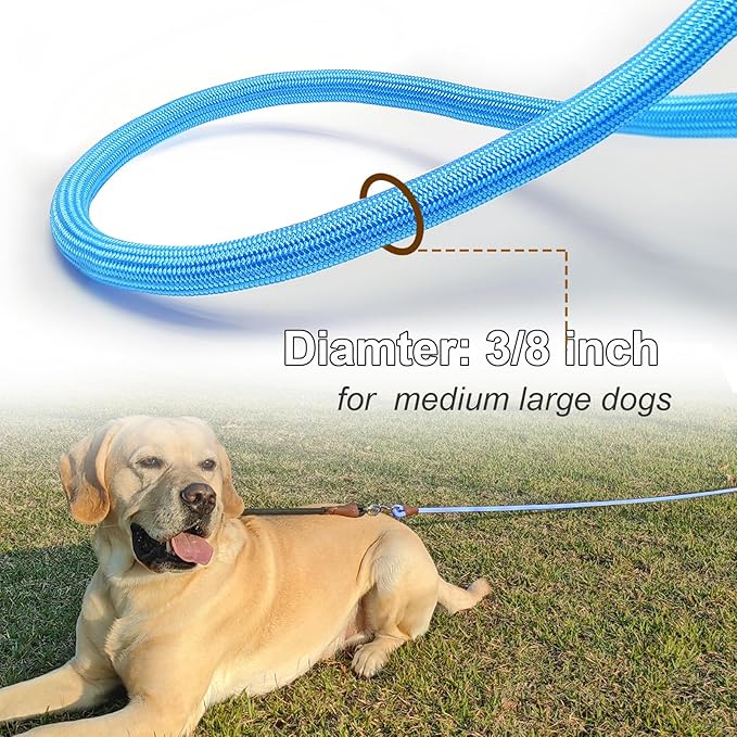 20FT Dog Tie Out Leash, Long Tether 10ft 15ft 20ft 30ft Nylon Rope Check Cord for Medium Large Dogs Indoor/Outdoor Playing Camping Backyard (Blue, 3/8")