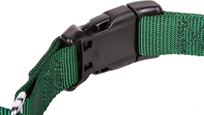 GOGO Pet Products 3/8-Inch Martingale Dog Collar, X-Small, Hunter Green