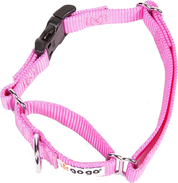GOGO Pet Products 3/8-Inch Martingale Dog Collar, X-Small, Pink