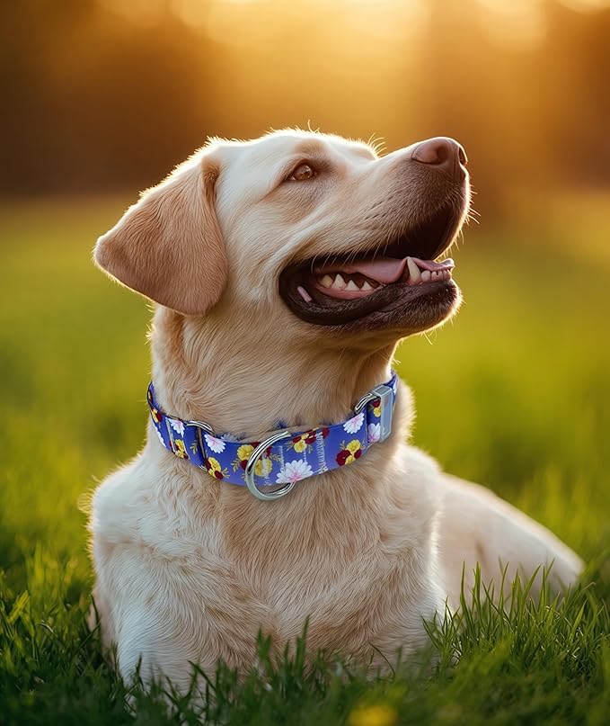Martingale Dog Collar, Adjustable Soft No Pull Training Collar with No Buckle, Floral Pattern No Slip Martingale Collars for Large Dogs (1" Width L)