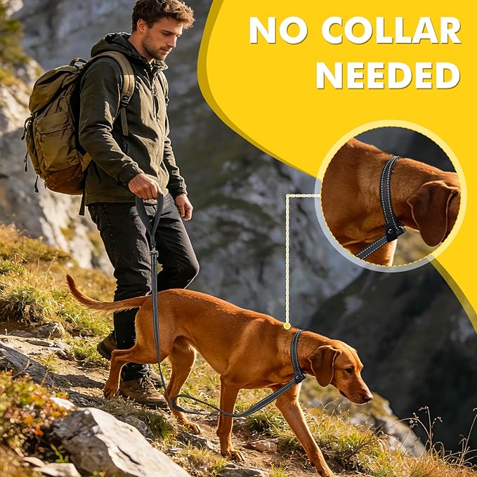 XiaZ 6FT Slip Leash for Dogs,Dog Leash with Comfortable Flat Collar and Soft Padded Double Handle,Nylon Reflective No Pull Leashes for Small Medium Large Dogs, Training Walking Running (Black)