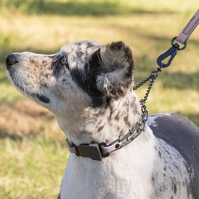 Herm Sprenger Black Stainless Steel Dog Collar with Quick Release ClicLock Buckle and Biothane Insert Training Collar Made in Germany (Pastel Purple, 16in x 2.25mm(Neck Size up to 13-14in))