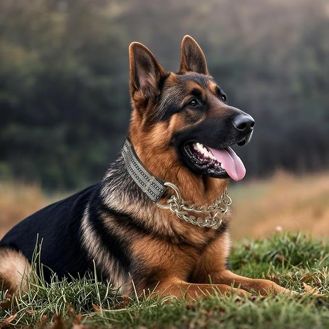 Martingale Dog Collars, Reflective Nylon Collar with Stainless Steel Chain, Adjustable Walking Training Dog Collars with Quick Release Buckle, Suitable for Small Medium Large Dogs(Gray,XL)