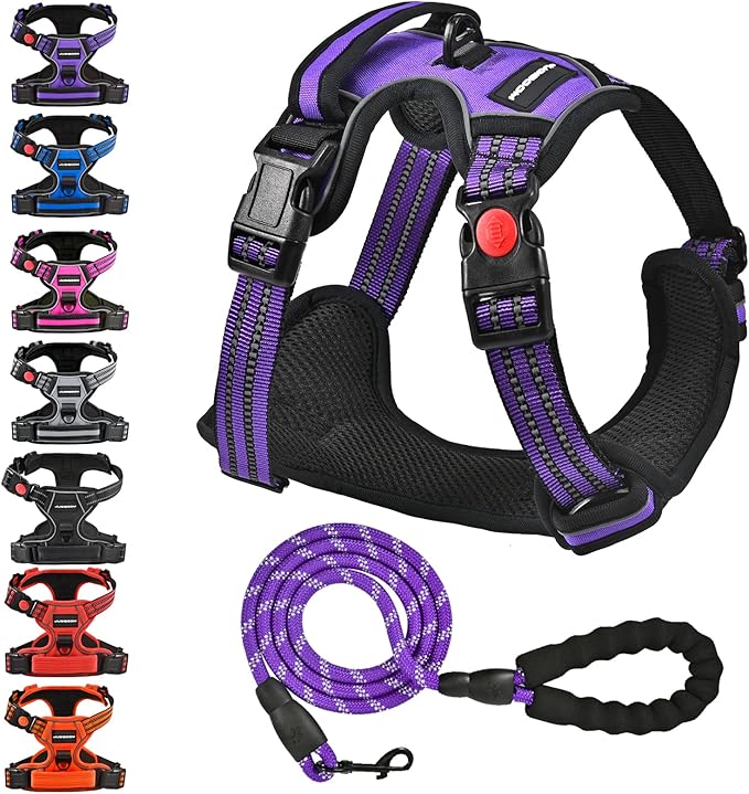 No Pull Dog Harness with A Free Heavy Duty 5ft Dog Leash, Adjustable Soft Padded Dog Vest, Reflective No-Choke Pet Oxford Vest with Easy Control Handle for Small and Large Dogs (Purple, Small)