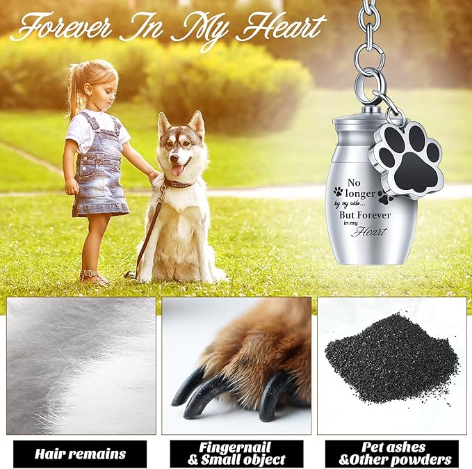 Tudomro 2 Pcs Pet Dog Urns Keychain for Ashes with 2 Storage Bags Small Cat Cremation Keepsake Jewelry Paw Print Memorial Urn