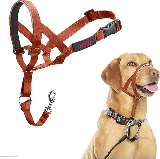 Halti Headcollar - Stop Your Dog Pulling on The Leash. Adjustable, Reflective and Lightweight, with Padded Nose Band. Dog Training Anti-Pull Collar for Medium Dogs (Size 3, Burnt Orange)