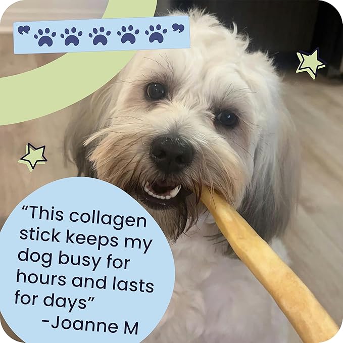 Pawstruck Natural Large Collagen Stick Springs for Dogs - Vet-Approved Long Lasting Alternative to Traditional Rawhide & Bully Sticks with Glucosamine & Chondroitin - 4 Pack - Packaging May Vary