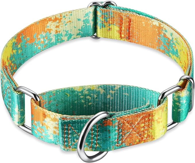 Martingale Dog Collar Escape-Proof for Training - No-Buckle, Durable Polyester Design for Medium Breeds (Deserts and Oases,M)