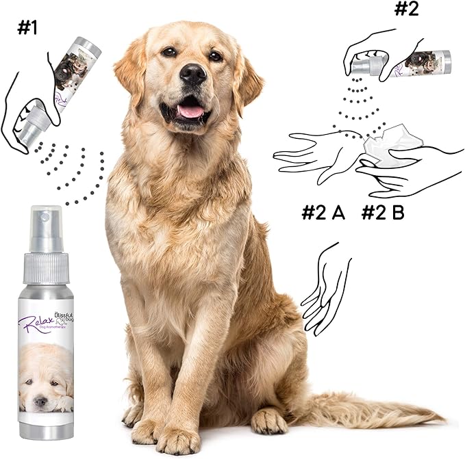 The Blissful Dog Golden Retriever Relax Dog Aromatherapy Spray for Your Dog's Anxiety