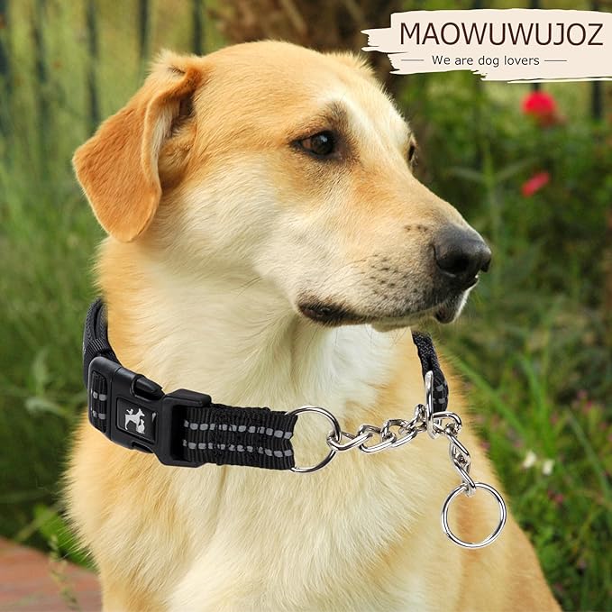 Reflective Martingale Collar for Dogs with Quick Release Buckle No Pull Training Dog Collars for Medium Breed,Large and XL Dogs (M)
