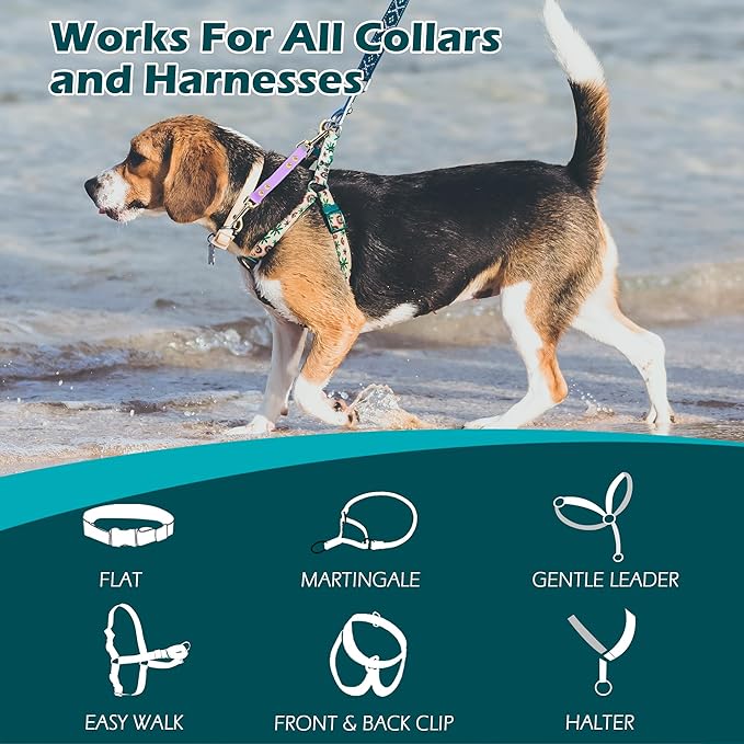 PetBonus Dog Collar Safety Clip, Waterproof Backup Safety Strap for Dog Harness to Prong Collar, Odor Proof Double Ended Clasp Leash Connector for Training Walking (Purple)