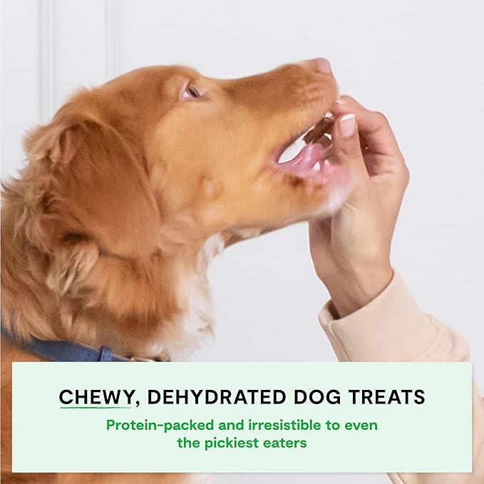 Open Farm Grain-Free Dehydrated Chicken Dog Treats 4.5 Ounces