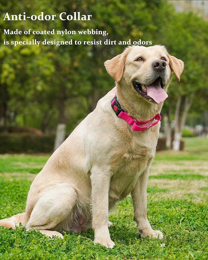 Waterproof Martingale Collar for Dogs,Easy to Clean Dog Collars with Safety Quick Release Buckle,Rubber Collar for Medium Large Dogs Walking Training (Pink, M (16.5-20.8inch))