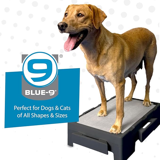 Blue-9 KLIMB Jr. Professionally Designed Dog Training Platform and DIY Guide for Behavior Basics, Made in The USA, Blue