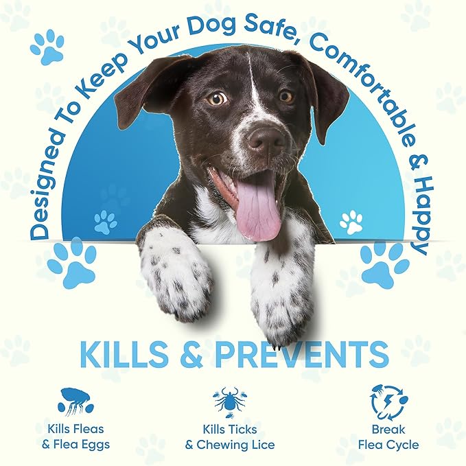 Flea and Tick Prevention for Dogs, 6 Doses Dog Flea Treatment for Medium Dogs 23–44 lbs, Fast Acting, Long Lasting Protection, Flea and Tick Control for Home and Outdoor Use, 6 Month Drops