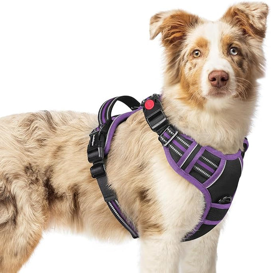 rabbitgoo Dog Harness Medium Sized, No Pull Pet Harness with 3 Buckles, Adjustable Soft Padded Vest with Control Handle, Walking Reflective Pet Vest for Medium Dogs, Black & Purple, M
