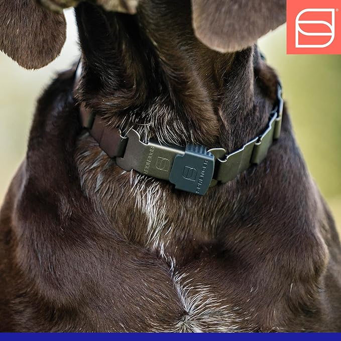 Herm. Sprenger NeckTech Sport Prong Dog Training Collar with Quick Release Snap and Swivel, Anti Pull Training Pinch Collar, Stainless Steel Black Matte (23" Neck Size; 24-25" Chain Length)
