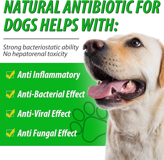 Dog Antibiotics, Natural Antibiotics for Dogs, Dog Multivitamin Herbal Supplements 60ml