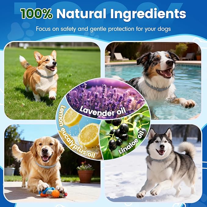 Flea and Tick Collar for Dogs, 5 Packs Flea Collar for Dogs with Natural Essential Oils, Waterproof & Adjustable Flea and Tick Prevention Collar for Small Medium Large Dogs & Puppies, Grey