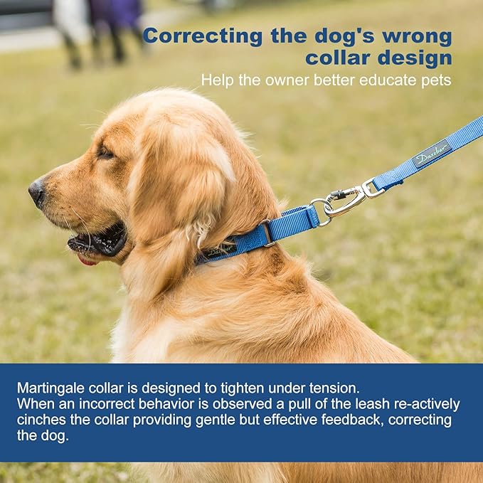 Martingale Dog Collar, No-Buckle Escape-Proof Design, Heavy-Duty Nylon and Welded D-Ring, Adjustable Training Collar for Medium Large Dogs (Royal Blue, L)