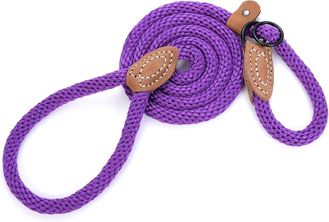 Mile High Life Slip Leads for Dogs | Heavy Duty Dog Training Leash | 4 Feet No Pull Slip Leashes w Leather Tip | Purple Rope Lead for Dogs Outside