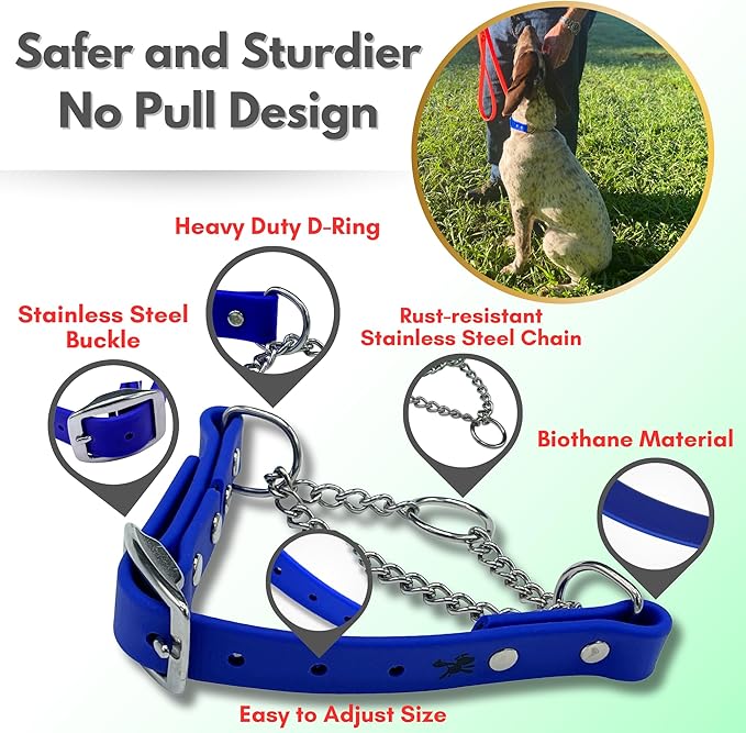 Martingale Collar for Dogs, Biothane, Stainless Steel Hardware, No Pull, Made in The USA, Professional Grade, Extra Large, Blue