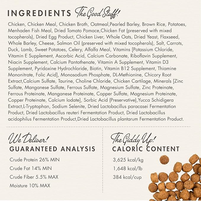 Fromm Large Breed Puppy Gold Premium Dry Dog Food - Dry Puppy Food for Large Breeds - Chicken Recipe - 5 lb