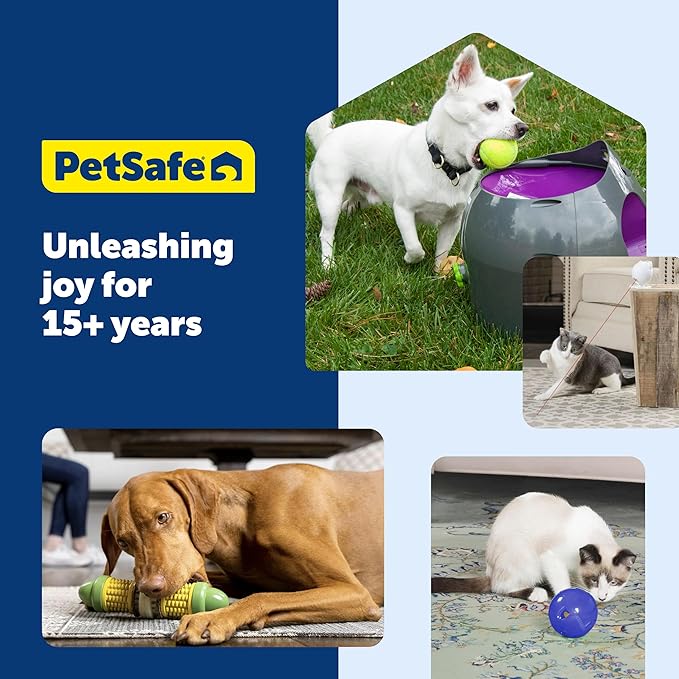 PetSafe Busy Buddy Natural Rawhide Rings - Long-Lasting Dog Chew Refills - Engaging Dog Treat for Training & Playtime - Fresh Rawhide Chew Rings for Interactive Toys - Peanut Butter Flavor - Size B