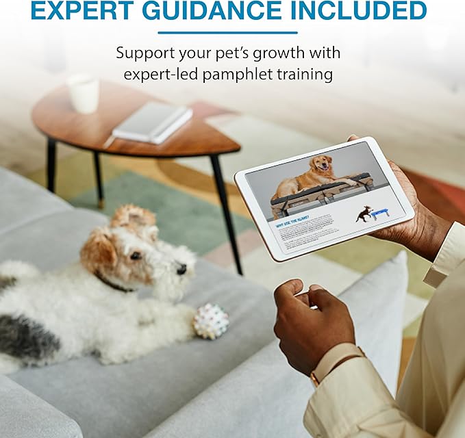 Blue-9 KLIMB Jr. Professionally Designed Dog Training Platform and DIY Guide for Behavior Basics, Made in The USA, White