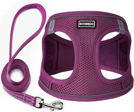 Dog Harness with Leash Set, No Pull Adjustable Reflective Step-in Puppy Pet Vest Harnesses for Small Medium Large Dogs and Cats,Cranberry M