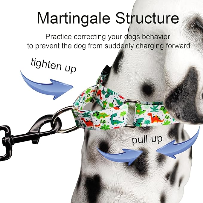 Martingale Dog Collars with Buckle No Pull Training Dog Collar for Medium Dogs (Green Dinosaur, Medium)