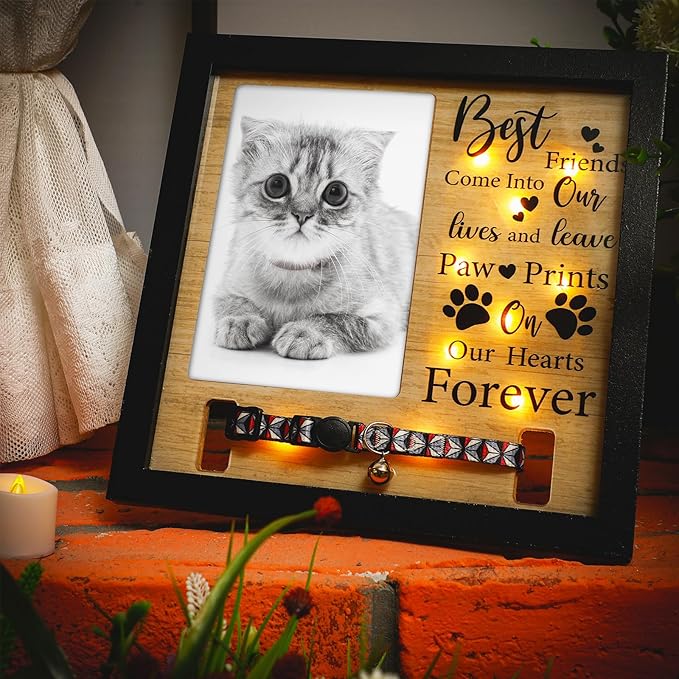 Thyle Dog Memorial Picture Frame Collar Holder and LED Light 9 x 9 Inch Pet Memory Gift Memorial Frame for Loss of Pet Sympathy Gift for Remembrance Bereavement Passed Away Loss of Dogs Cats