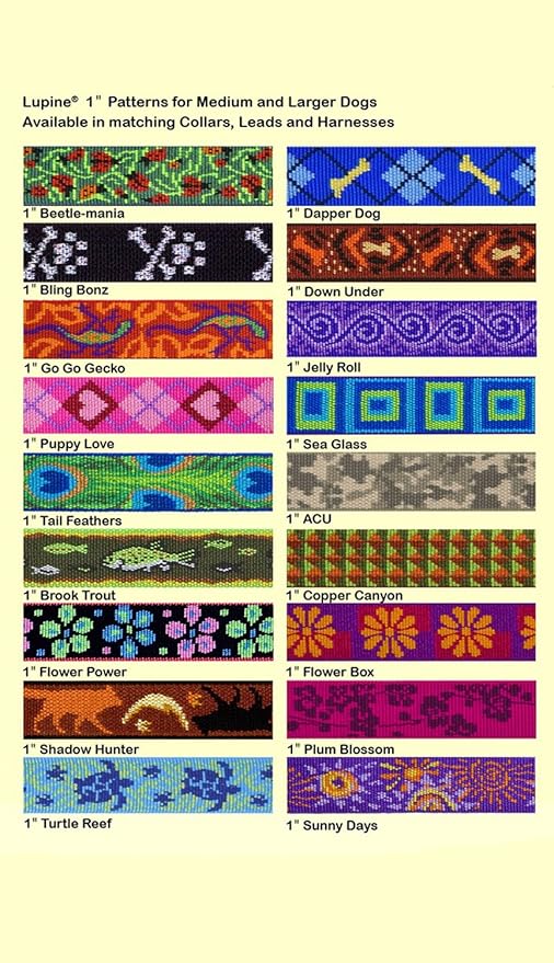 LupinePet Originals 1" Tail Feathers 15-22" Martingale Collar for Medium and Larger Dogs