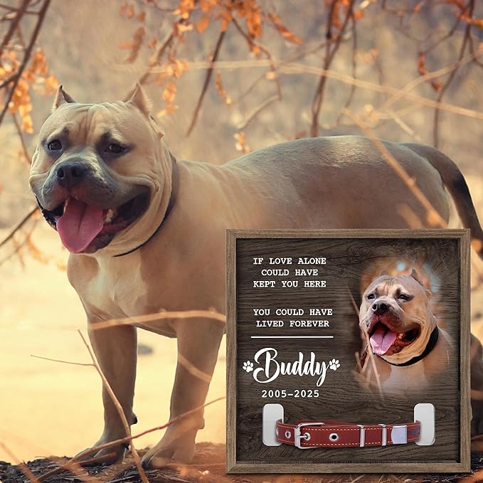 Dog Memorial Frame with Collar Holder – If Love Alone Could Have Kept You Here Quote – Personalized Dog Loss Picture Frame with Name – Dark Wood Pet Memorial Gift with Collar Holder