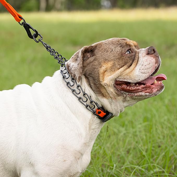 Herm Sprenger Black Stainless Steel Dog Collar with Short Links and Quick Release ClicLock Buckle and Biothane Insert Made in Germany 20in x 3.0mm (Neck Size up to 16-17in) (Hunter Orange)
